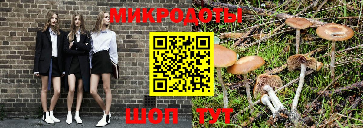 Лангепас  Галлюциногенные грибы Psilocybe  Вход с VPN  Галлюциногенные грибы Psilocybe 