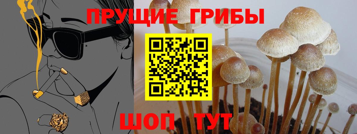 Галлюциногенные грибы мицелий Лангепас